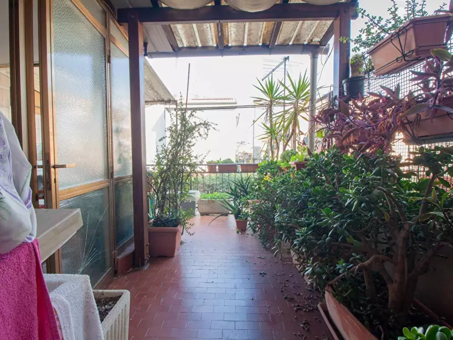 Immagine 25 di Appartamento in vendita  a Pisa