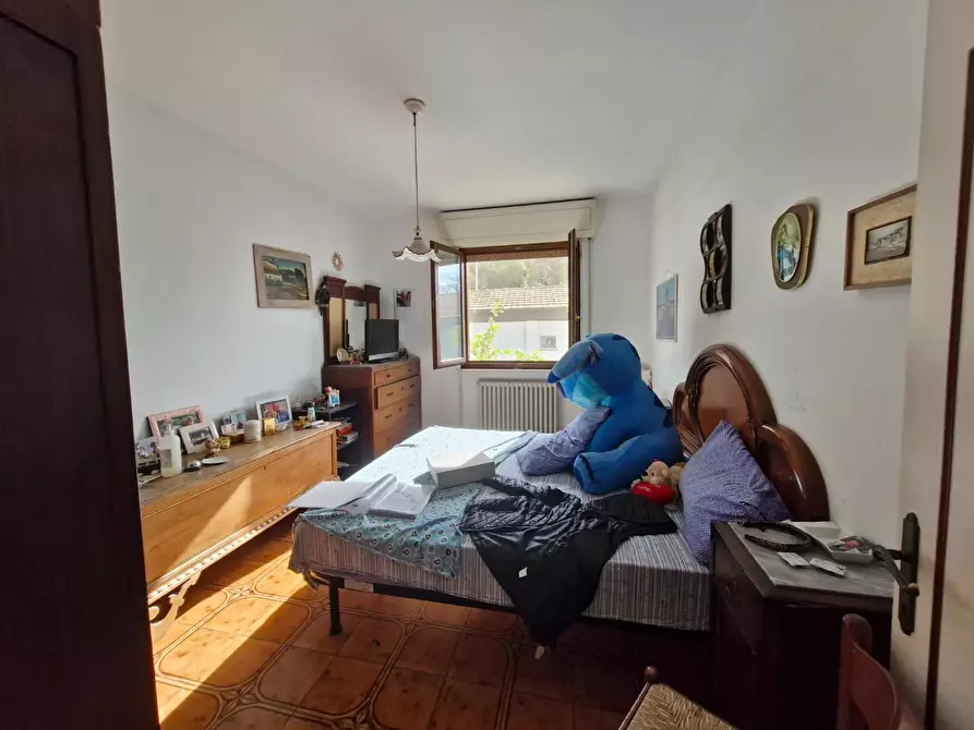 Immagine 26 di Appartamento in vendita  a Campiglia Marittima