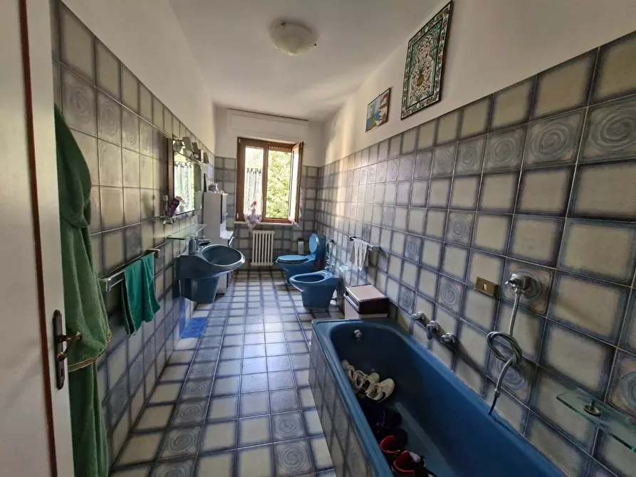 Immagine 24 di Appartamento in vendita  a Campiglia Marittima