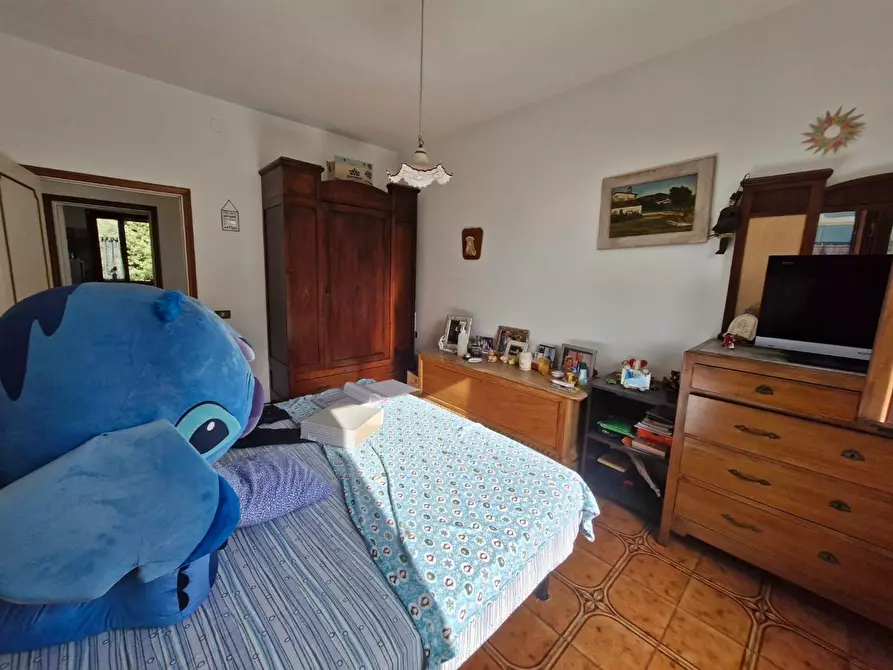 Immagine 27 di Appartamento in vendita  a Campiglia Marittima