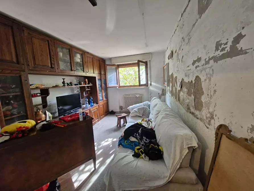 Immagine 31 di Appartamento in vendita  a Campiglia Marittima