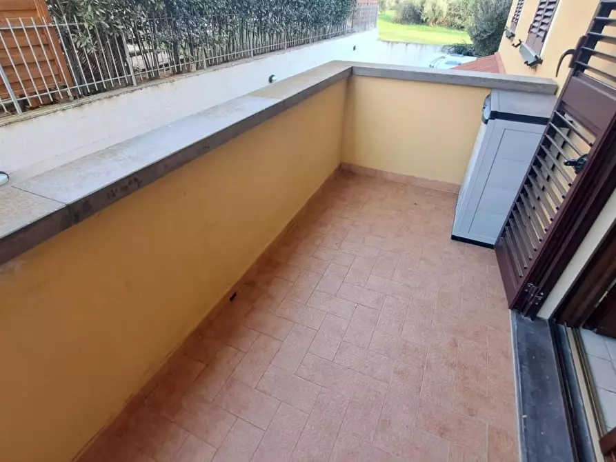 Immagine 15 di Appartamento in vendita  a Rosignano Marittimo