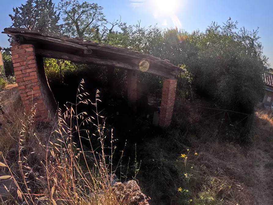 Immagine 11 di Appartamento in vendita  a Casole D'elsa