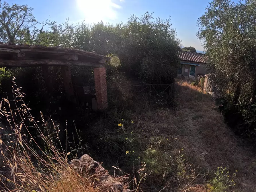 Immagine 10 di Appartamento in vendita  a Casole D'elsa