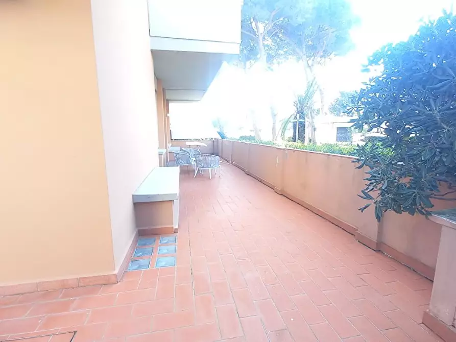 Immagine 14 di Appartamento in affitto  a Camaiore