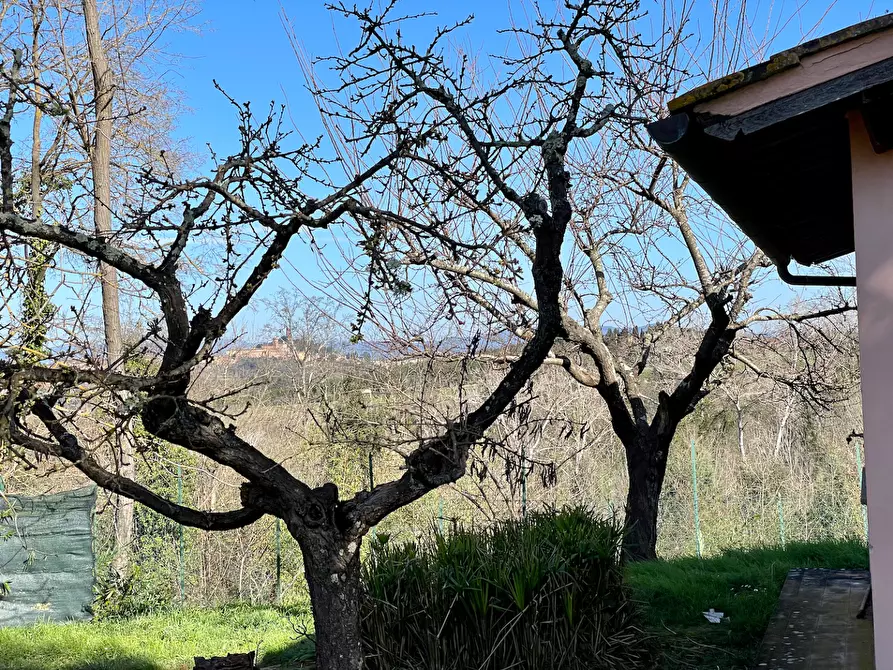 Immagine 62 di Villa in vendita  a San Miniato