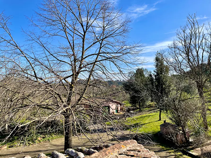 Immagine 25 di Villa in vendita  a San Miniato