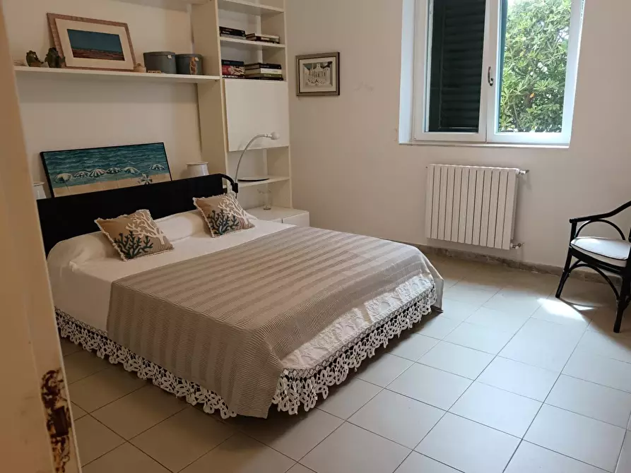 Immagine 8 di Appartamento in affitto  a Livorno