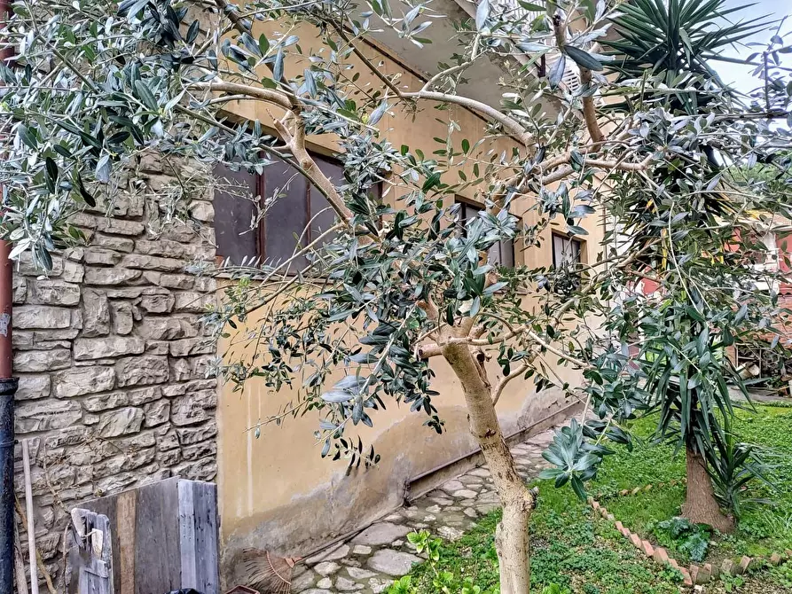 Immagine 37 di Casa indipendente in vendita  a Ponsacco