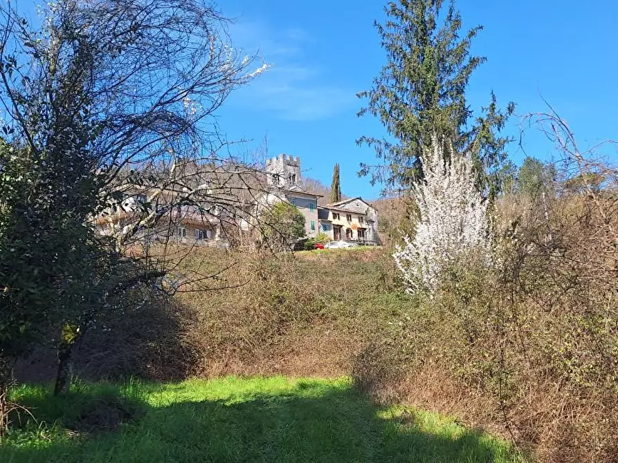 Immagine 6 di Rustico / casale in vendita  a Borgo A Mozzano