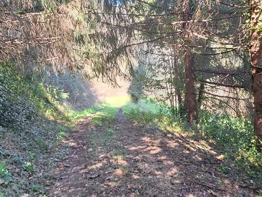 Immagine 5 di Rustico / casale in vendita  a Borgo A Mozzano