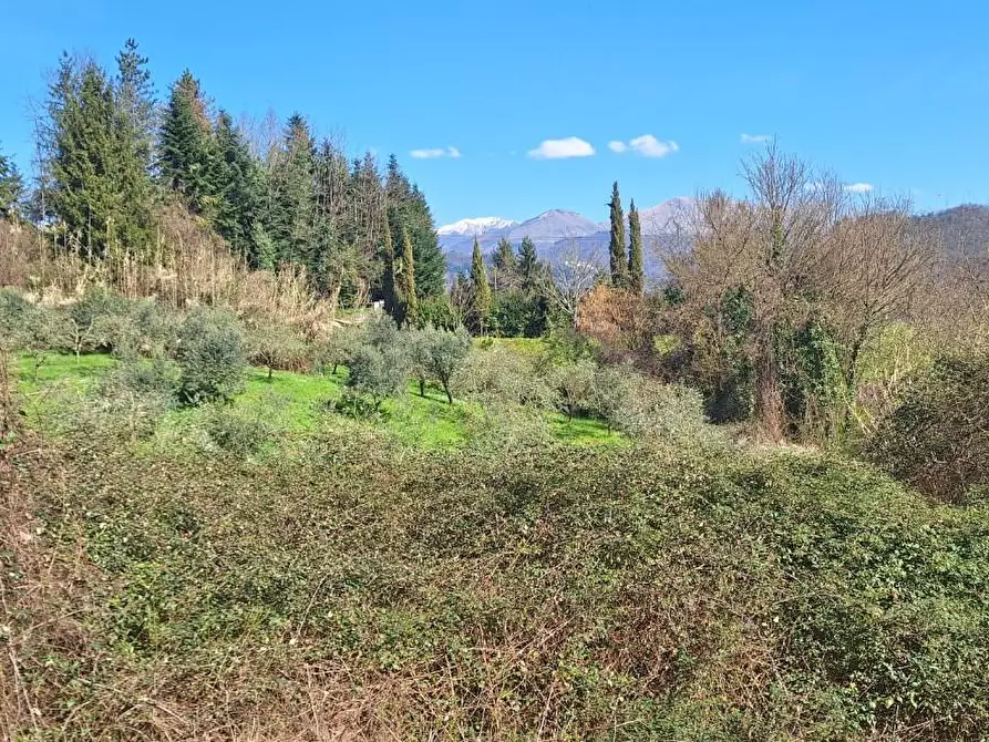 Immagine 4 di Rustico / casale in vendita  a Borgo A Mozzano
