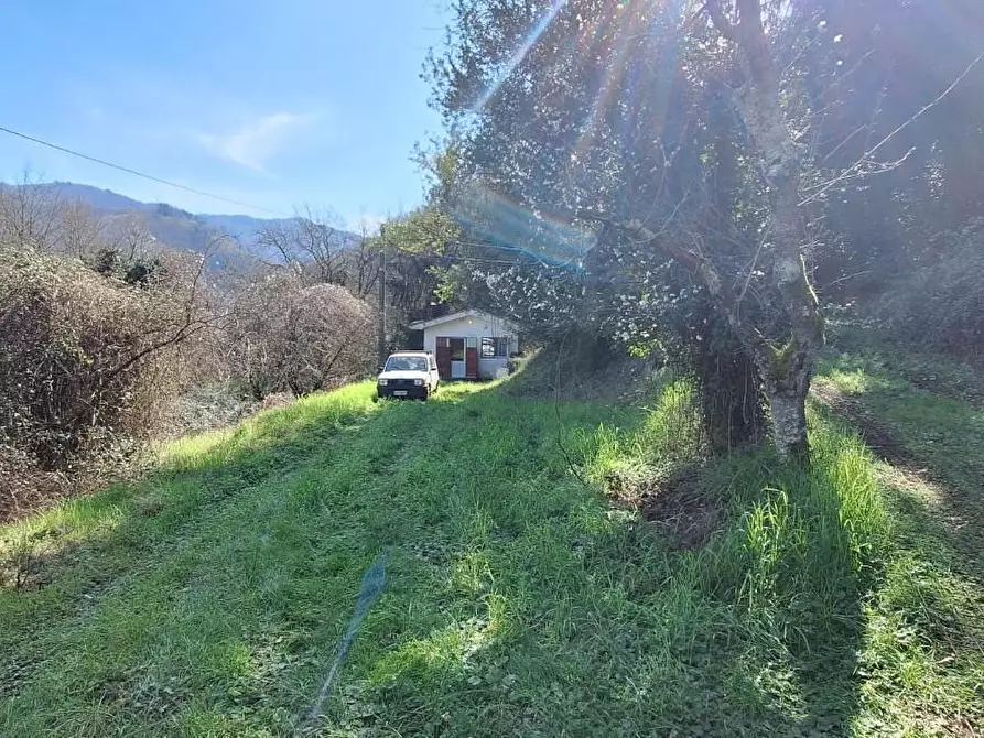 Immagine 3 di Rustico / casale in vendita  a Borgo A Mozzano