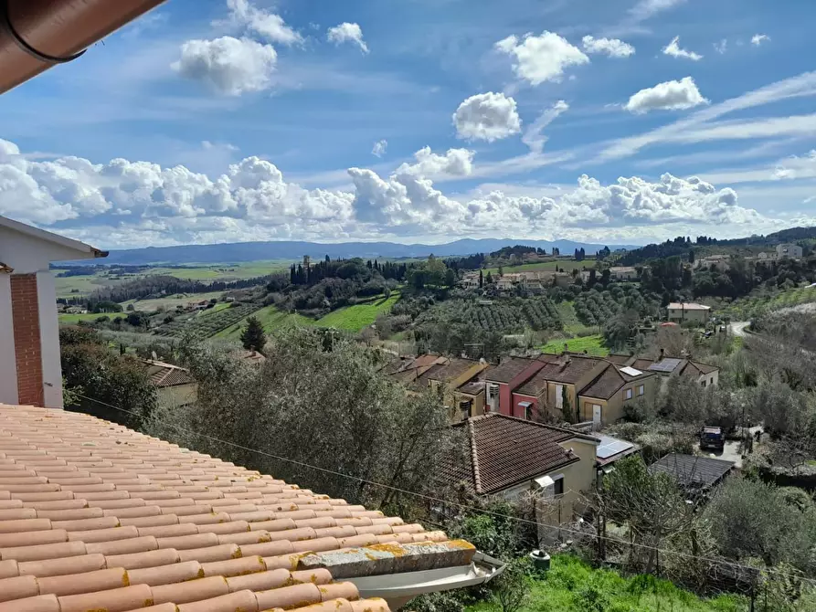 Immagine 16 di Appartamento in vendita  a Collesalvetti