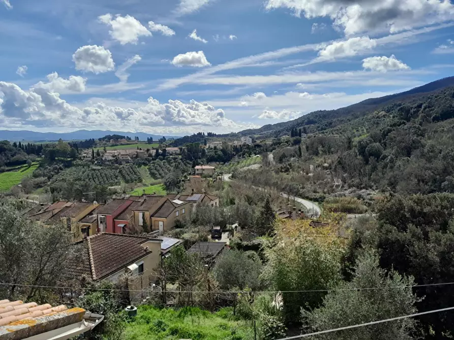 Immagine 17 di Appartamento in vendita  a Collesalvetti