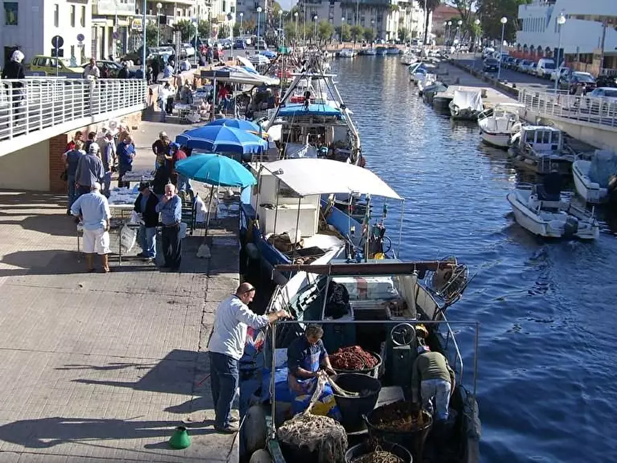 Immagine 25 di Villetta a schiera in affitto  a Viareggio