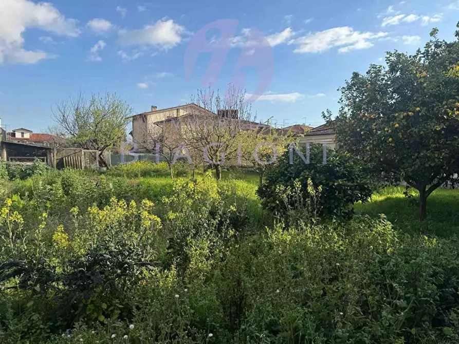 Immagine 29 di Casa bifamiliare in vendita  a Seravezza