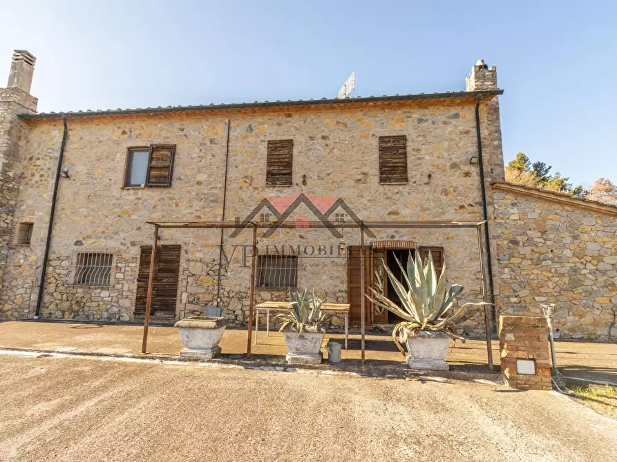 Immagine 4 di Casa indipendente in vendita  a Castelnuovo Val Di Cecina