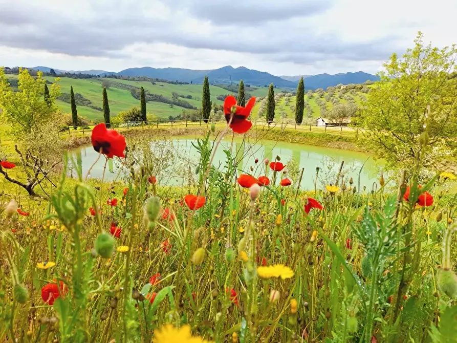 Immagine 80 di Villa in vendita  a Pomarance