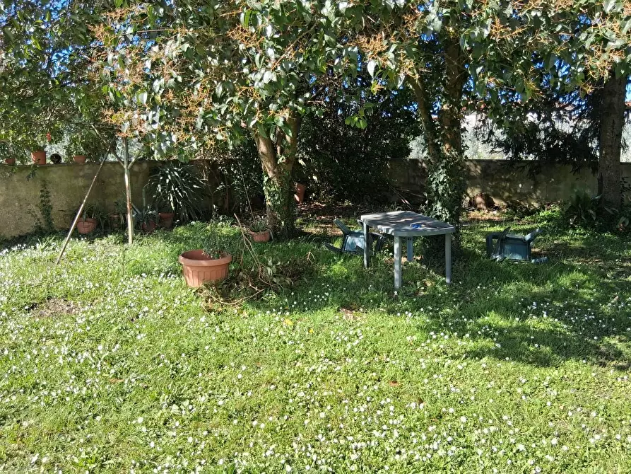 Immagine 19 di Appartamento in vendita  a Capannori