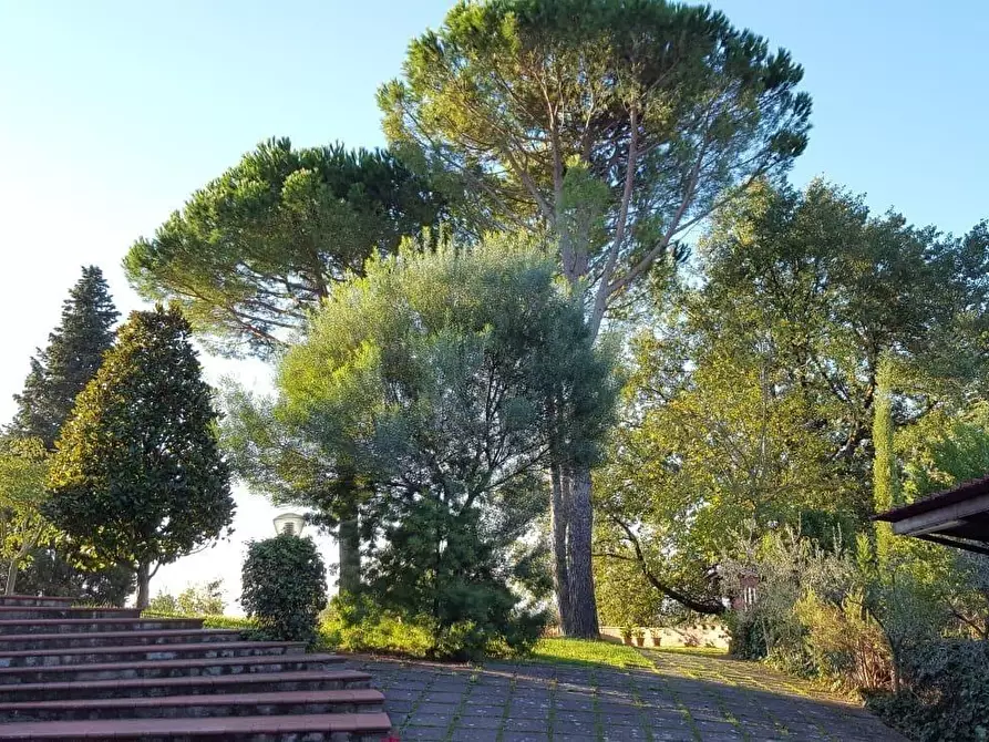 Immagine 5 di Villa in vendita  a Santa Maria A Monte