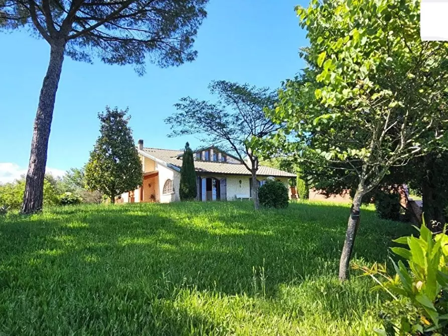Immagine 34 di Villa in vendita  a Santa Maria A Monte