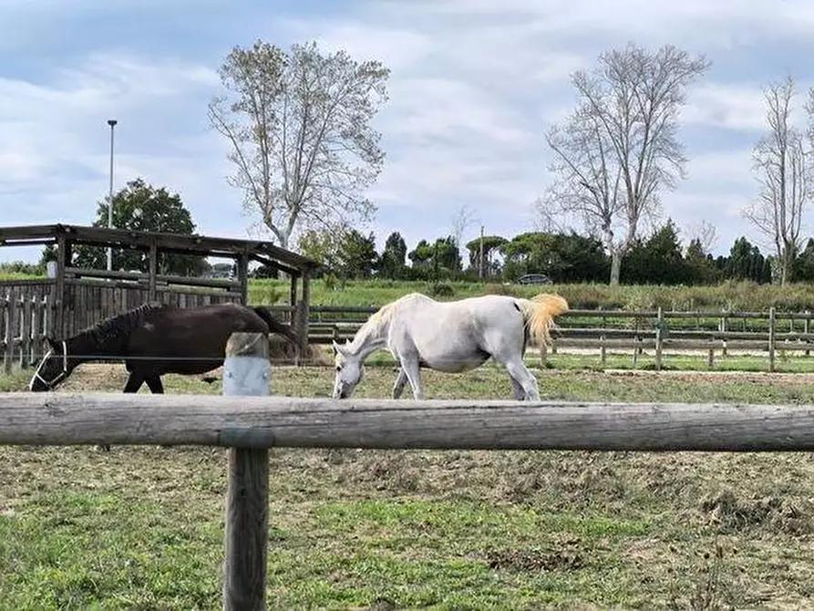 Immagine 19 di Appartamento in vendita  a San Giuliano Terme