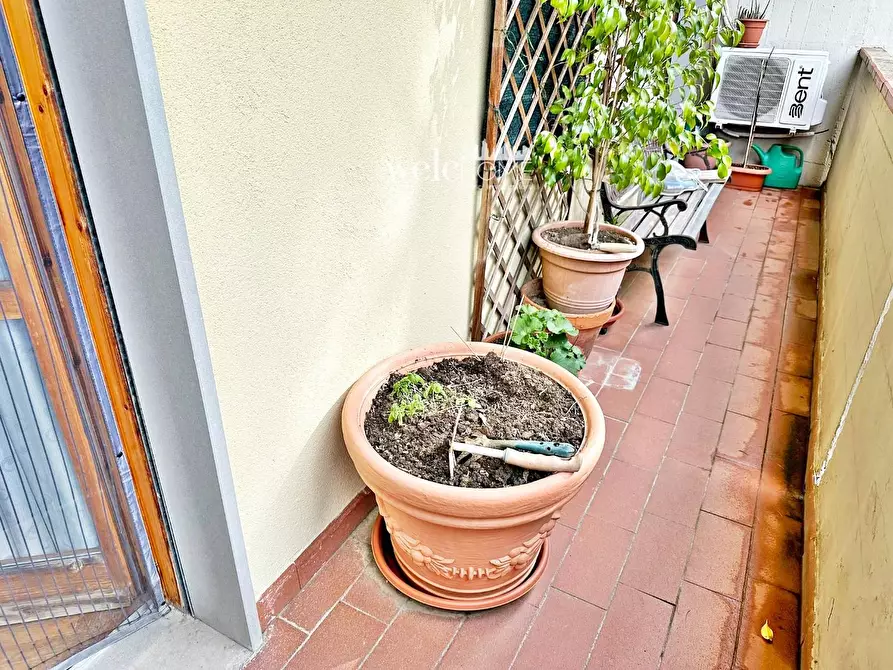 Immagine 32 di Appartamento in vendita  a Campi Bisenzio