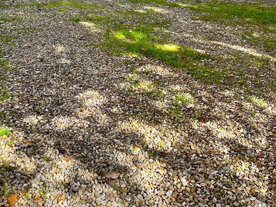 Immagine 2 di Appartamento in vendita  a Montelupo Fiorentino