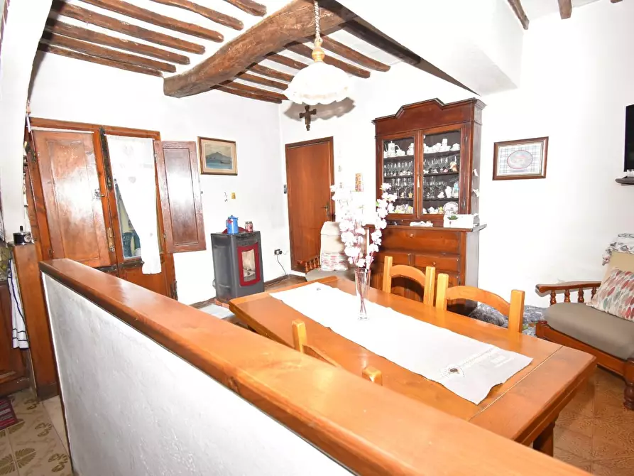 Immagine 9 di Terratetto in vendita  a San Giuliano Terme