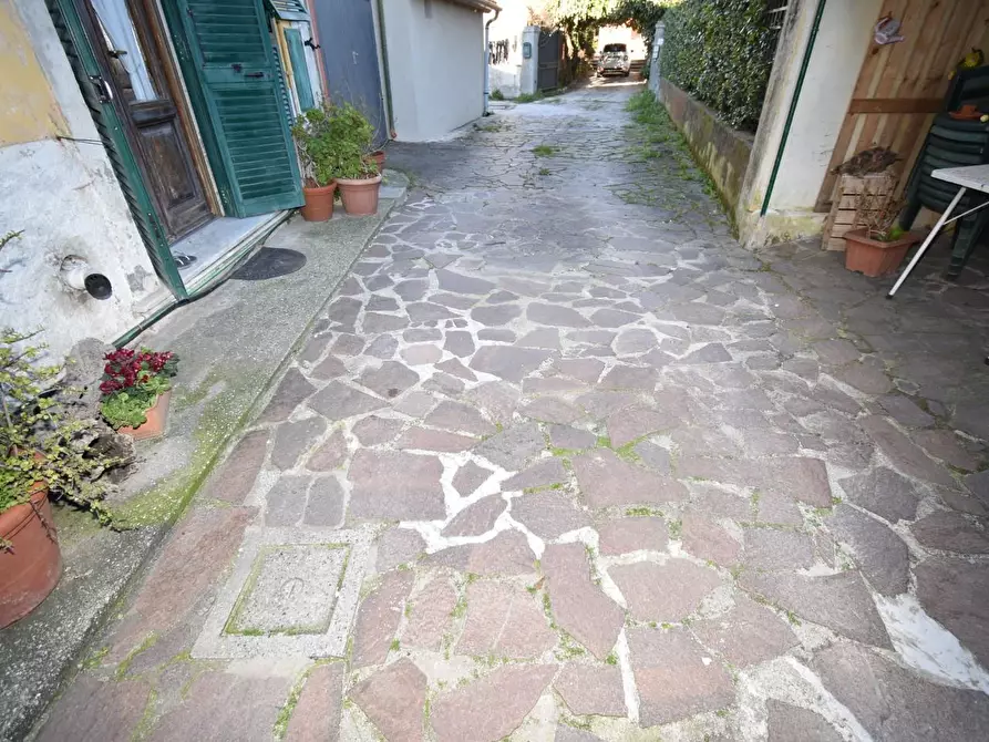 Immagine 34 di Terratetto in vendita  a San Giuliano Terme