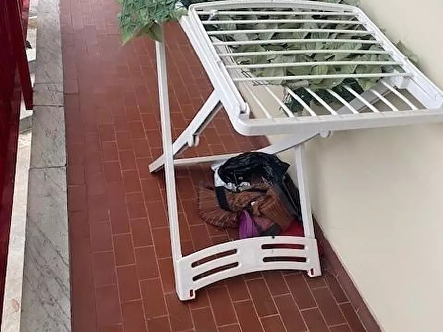 Immagine 13 di Casa semindipendente in vendita  a Massa