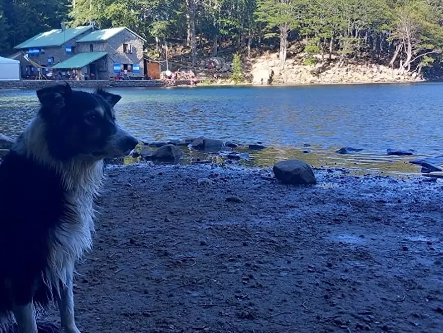 Immagine 22 di Casa indipendente in vendita  a Carrara