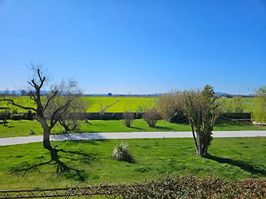 Immagine 49 di Casa colonica in vendita  a Cascina
