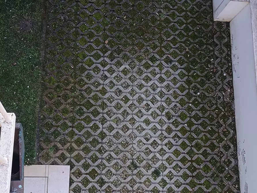 Immagine 62 di Villa in vendita  a Camaiore