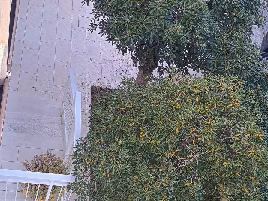 Immagine 73 di Villa in vendita  a Camaiore