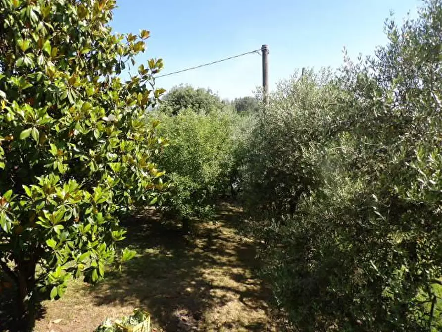 Immagine 30 di Villa in vendita  a Capannori