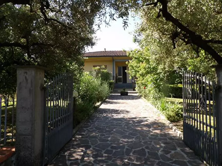Immagine 19 di Villa in vendita  a Capannori