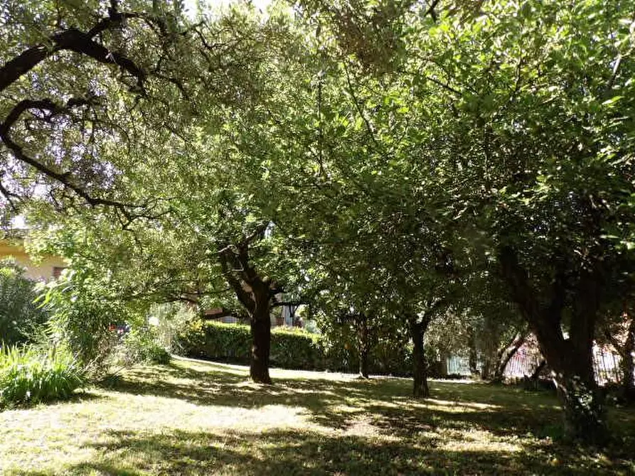 Immagine 25 di Villa in vendita  a Capannori