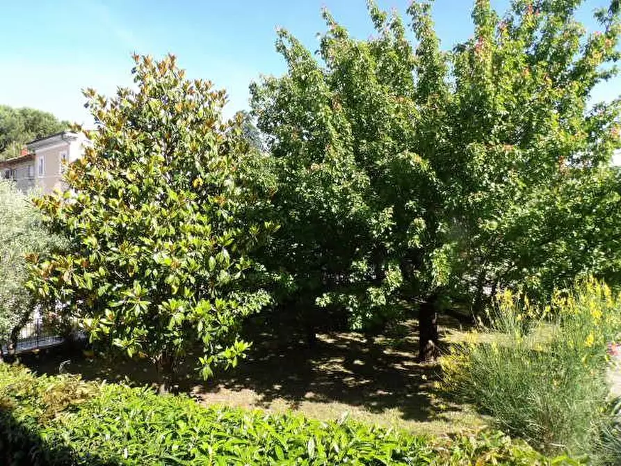 Immagine 28 di Villa in vendita  a Capannori