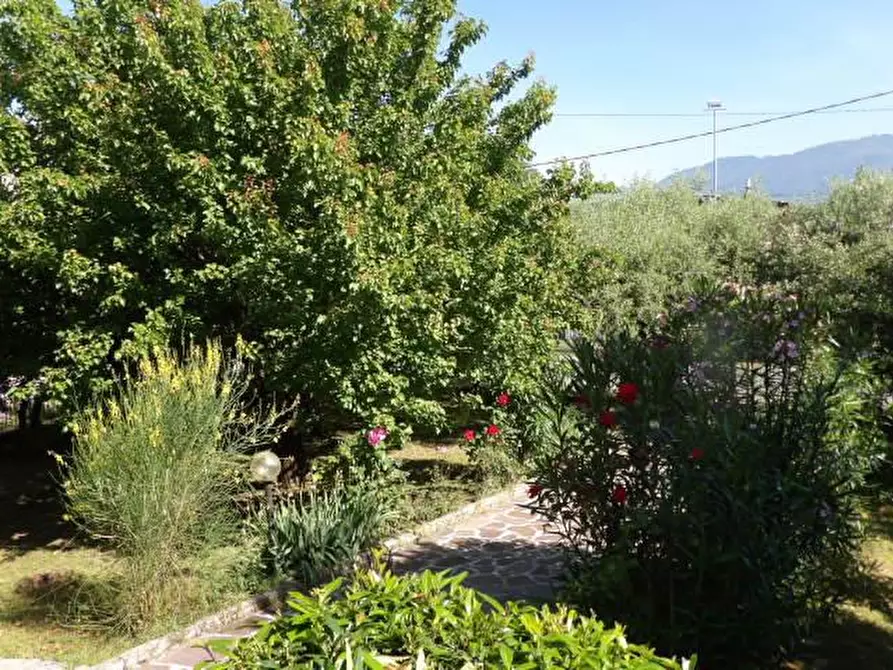 Immagine 31 di Villa in vendita  a Capannori