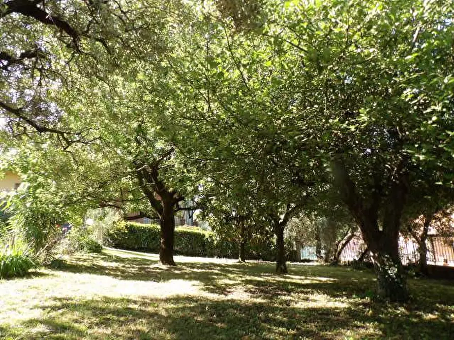 Immagine 24 di Villa in vendita  a Capannori