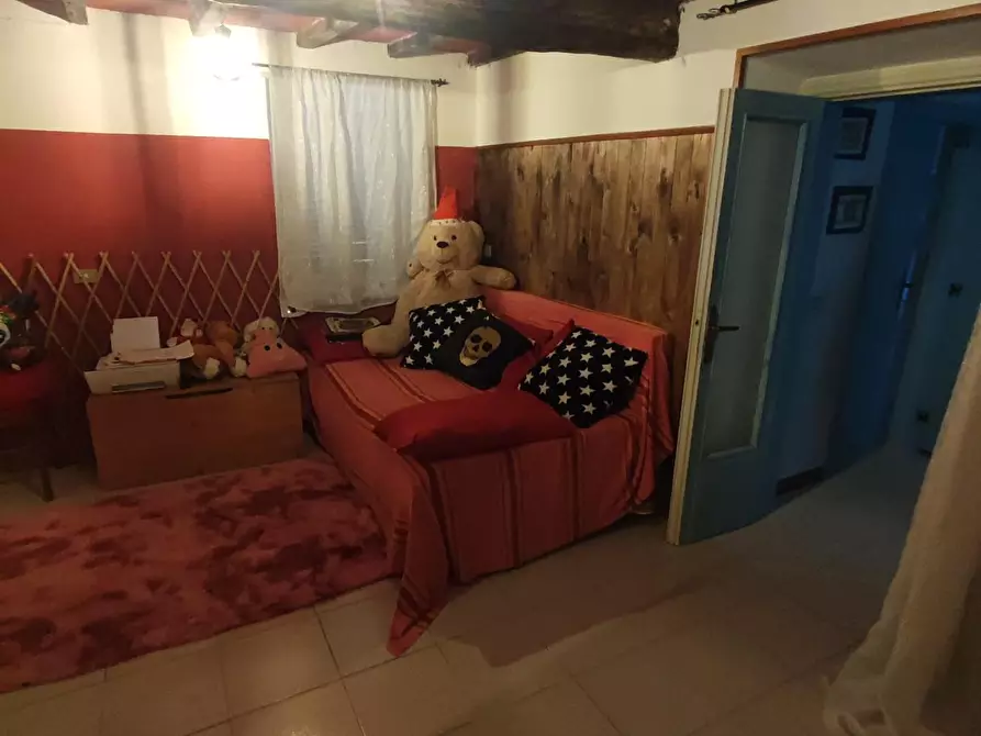 Immagine 22 di Terratetto in vendita  a Massa