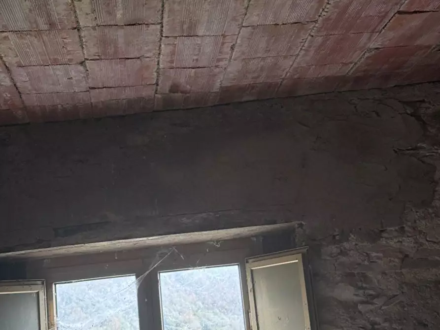 Immagine 13 di Terratetto in vendita  a Carrara