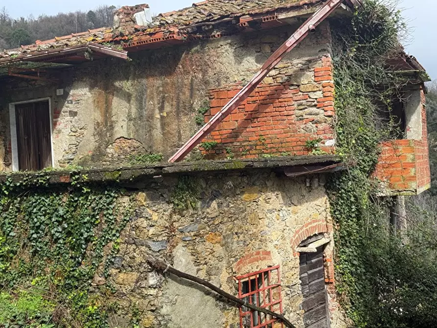 Immagine 3 di Terratetto in vendita  a Carrara