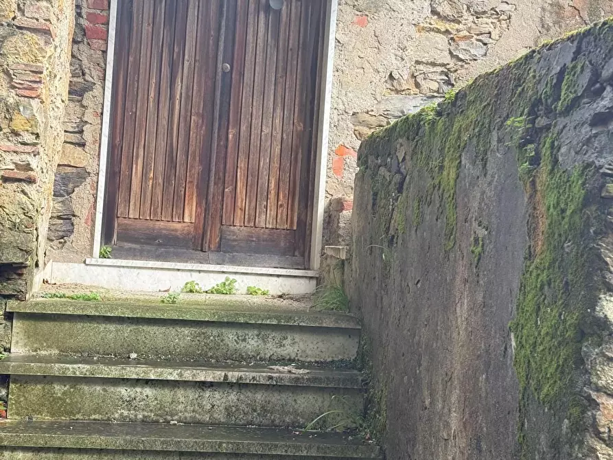 Immagine 5 di Terratetto in vendita  a Carrara