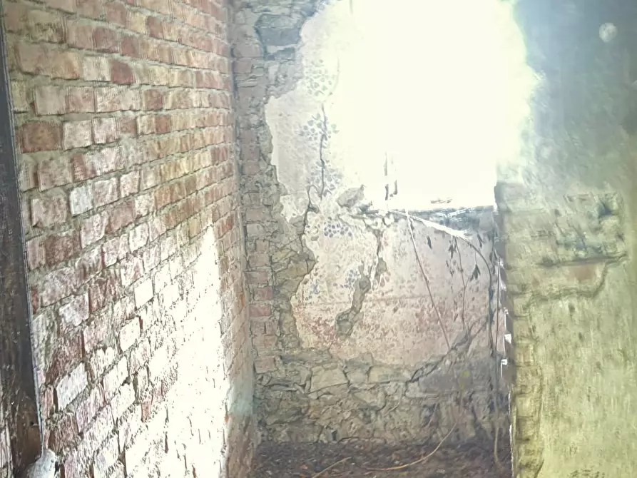 Immagine 22 di Terratetto in vendita  a Carrara