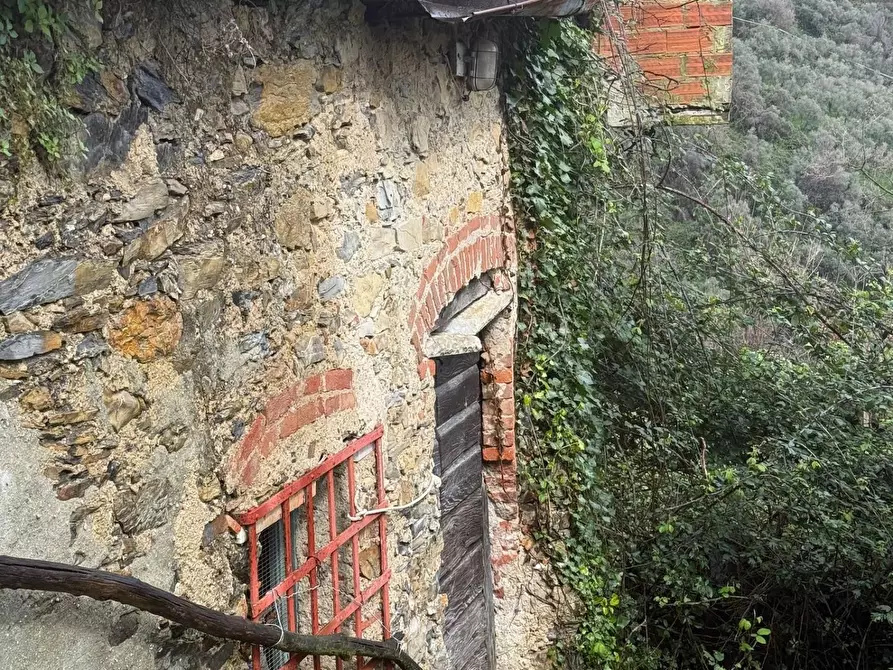 Immagine 6 di Terratetto in vendita  a Carrara