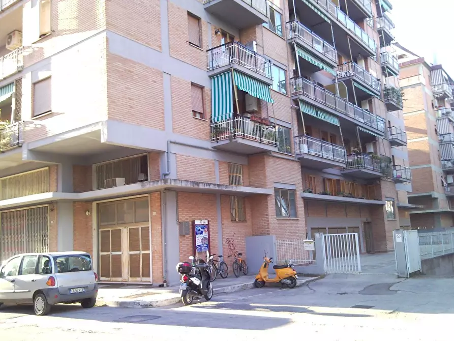 Immagine 4 di Negozio in vendita  a Grosseto