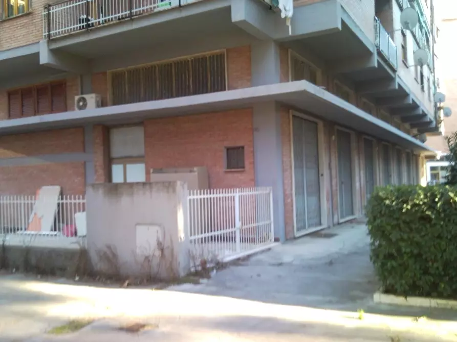 Immagine 3 di Negozio in vendita  a Grosseto